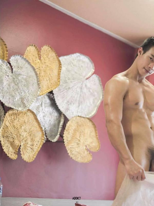 Addict--The-Premium-Issue